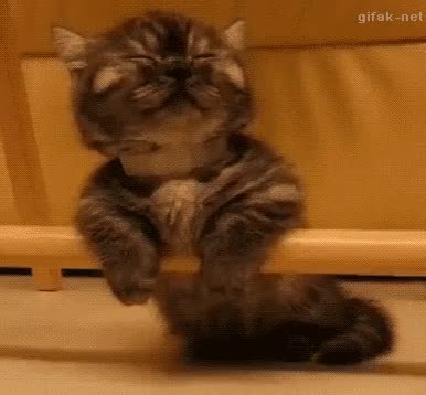 GIF Preview