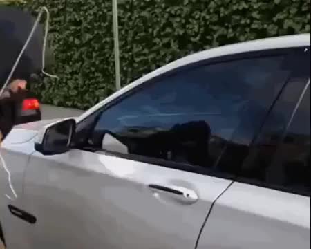 GIF Preview