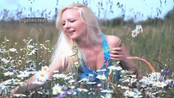 GIF Preview