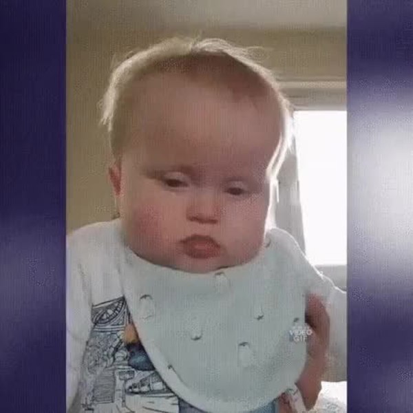 GIF Preview