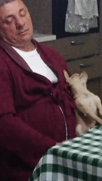 GIF Preview