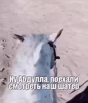 GIF Preview