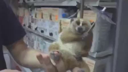 GIF Preview