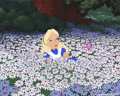 GIF Preview