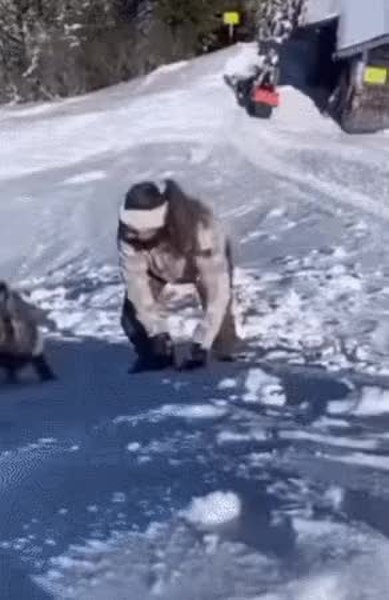 GIF Preview