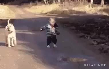 GIF Preview