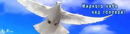 GIF Preview