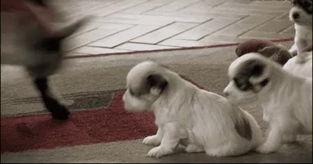 GIF Preview