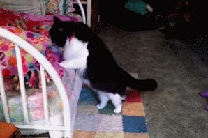 GIF Preview