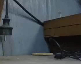 GIF Preview