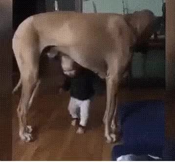 GIF Preview