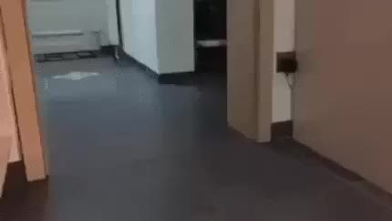 GIF Preview