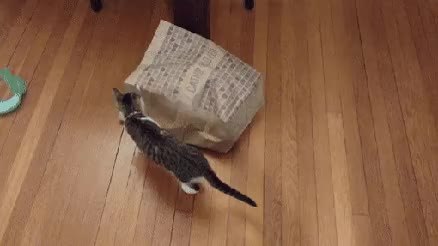GIF Preview