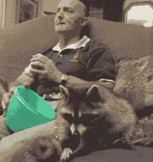 GIF Preview