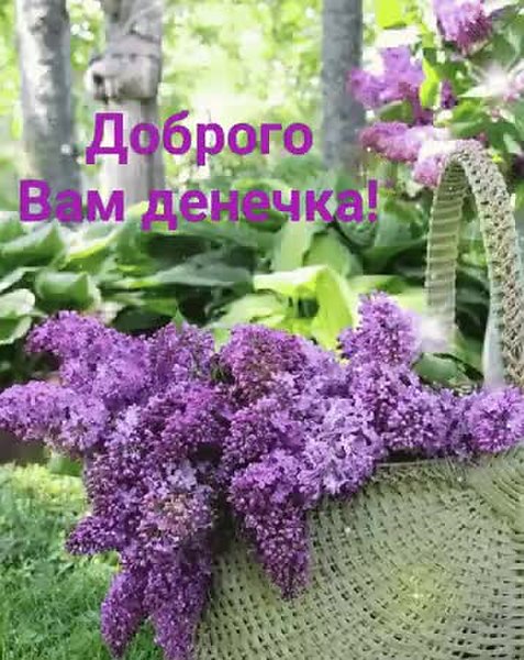 GIF Preview