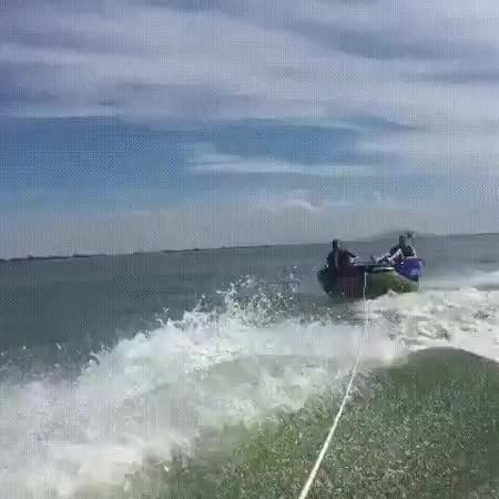 GIF Preview