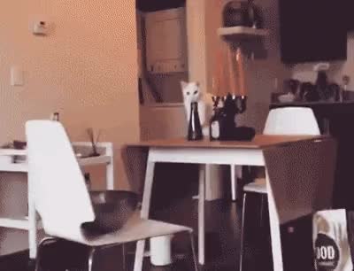 GIF Preview