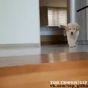 GIF Preview