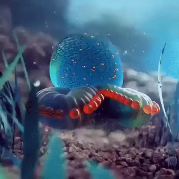 GIF Preview