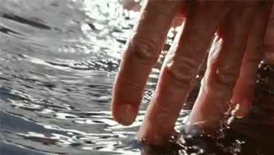 GIF Preview