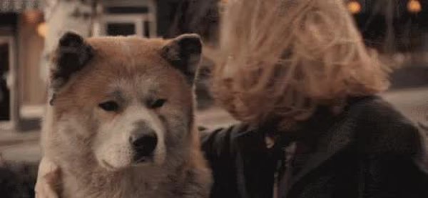 GIF Preview