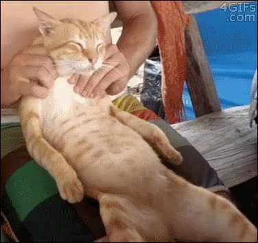 GIF Preview