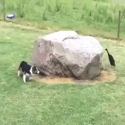 GIF Preview