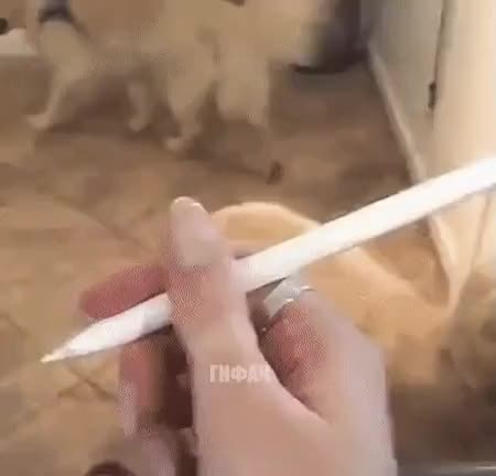GIF Preview