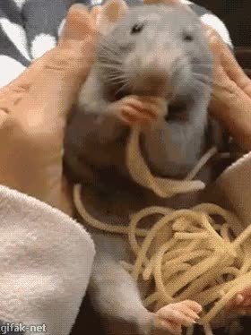 GIF Preview