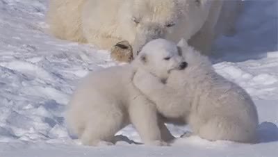 GIF Preview