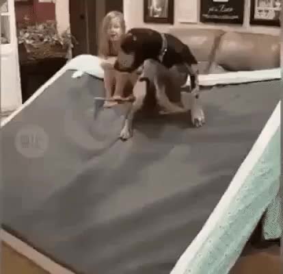 GIF Preview