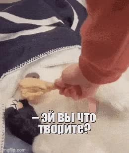 GIF Preview