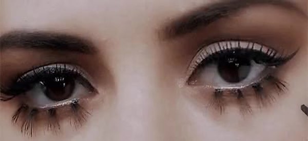 GIF Preview