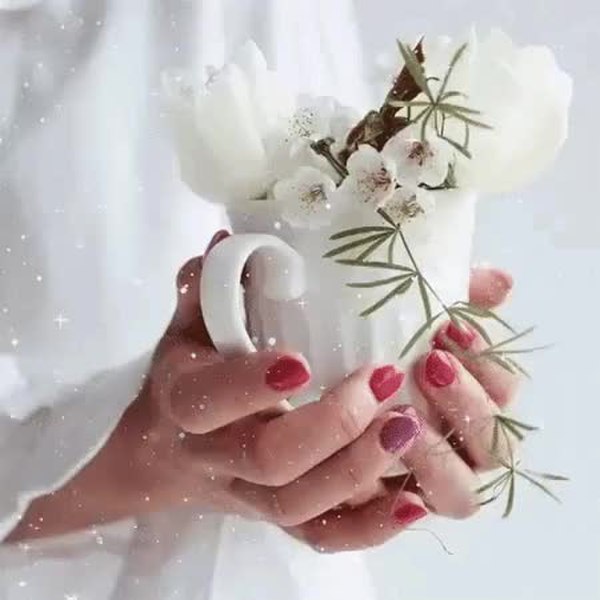 GIF Preview
