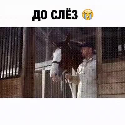GIF Preview
