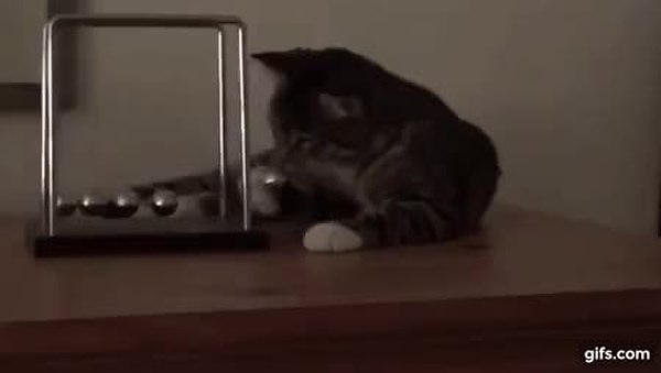 GIF Preview