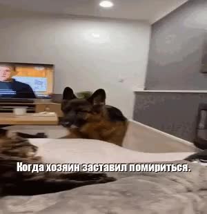 GIF Preview