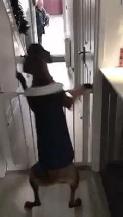 GIF Preview