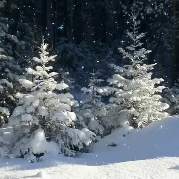 GIF Preview