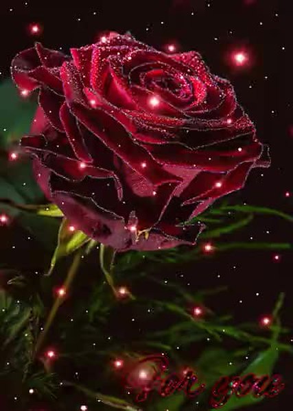 GIF Preview