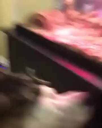 GIF Preview