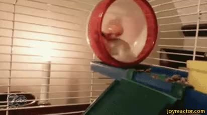 GIF Preview