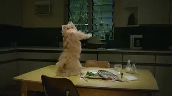 GIF Preview
