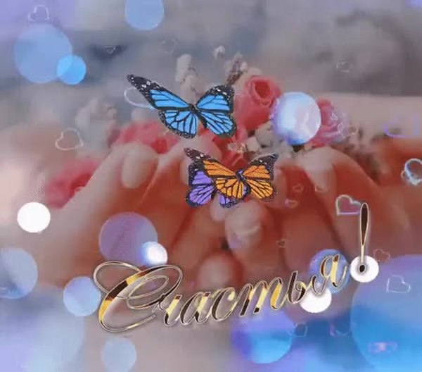 GIF Preview