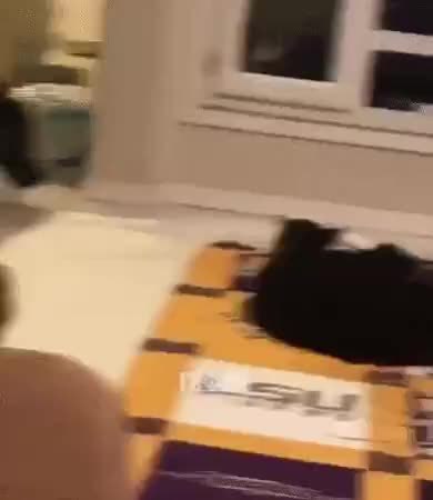 GIF Preview