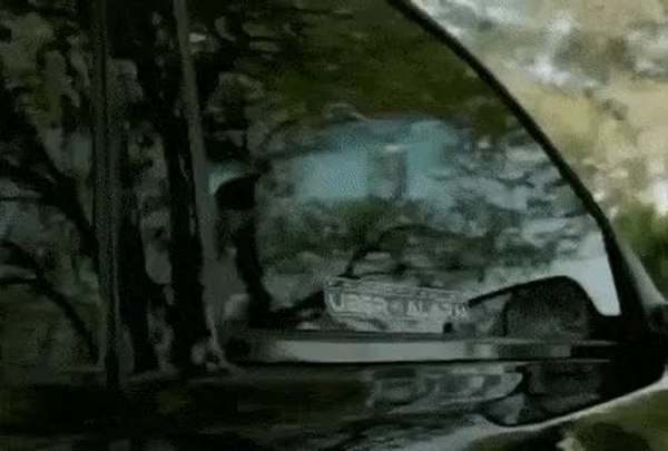 GIF Preview