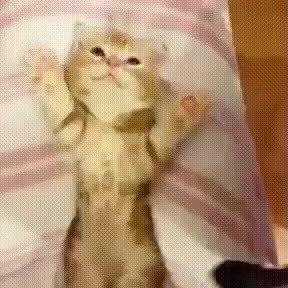 GIF Preview