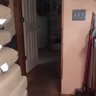 GIF Preview