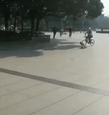 GIF Preview