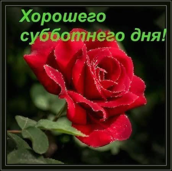 GIF Preview